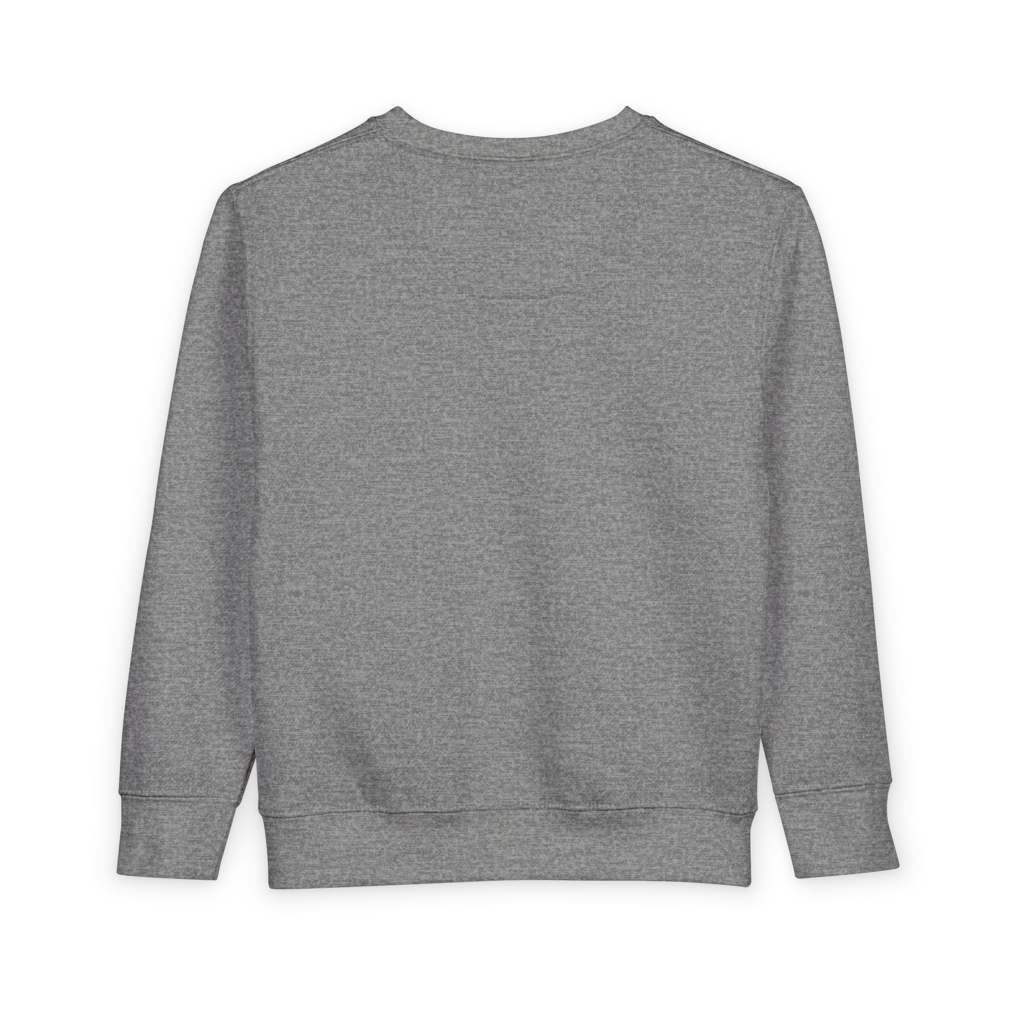 Toddler Sweatshirt - Wholeness Kid's Pullover