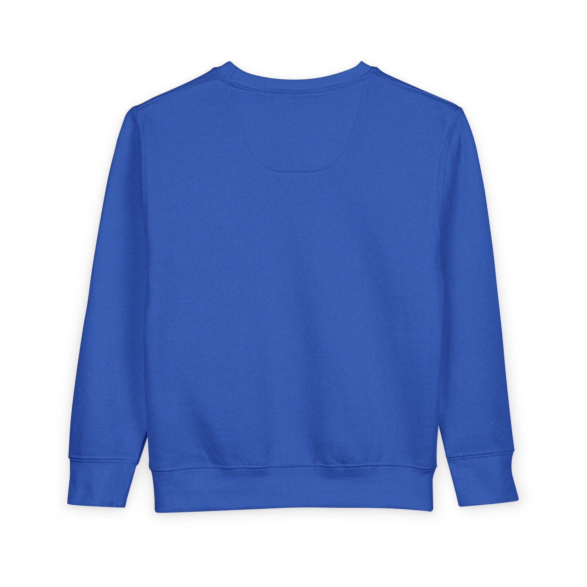 Toddler Sweatshirt - Wholeness Kid's Pullover