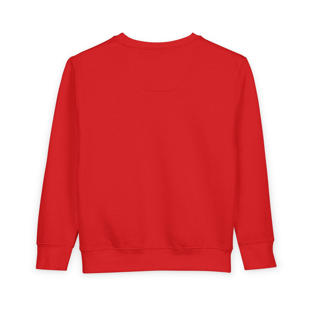 Toddler Sweatshirt - Wholeness Kid's Pullover